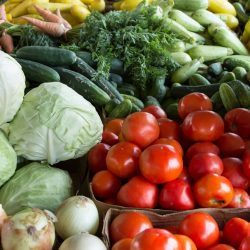 Vibrant display of organic vegetables including tomatoes, cabbages, and more at a North Carolina market.