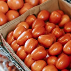 From above of round and oval shaped tomatoes in containers on shelf in grocery shop in shiny light